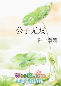 公子无双1-100全剧